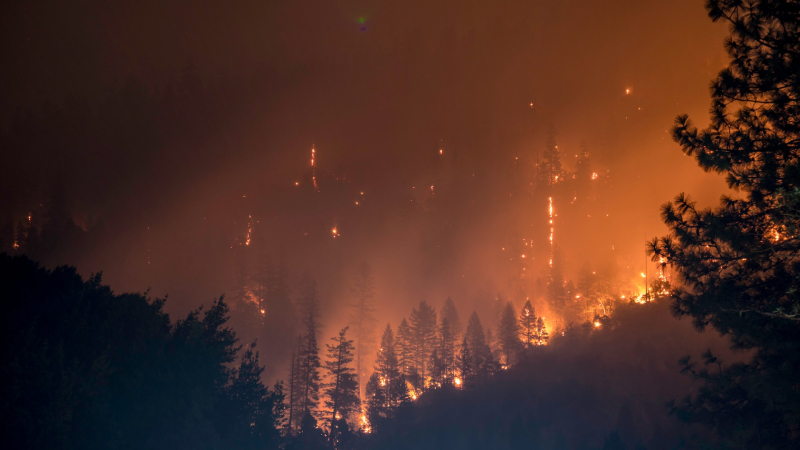 Çanakkale’de orman yangını 3 gündür sürüyor: Boğaz yeniden kapatıldı