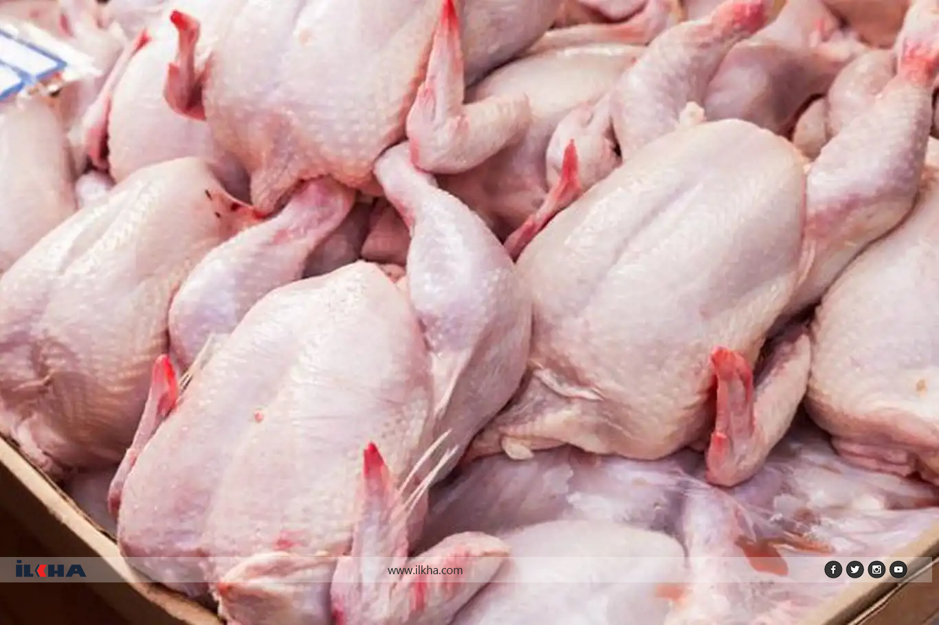 Tavuk fiyatları istikrarlı bir şekilde neden yükseliyor