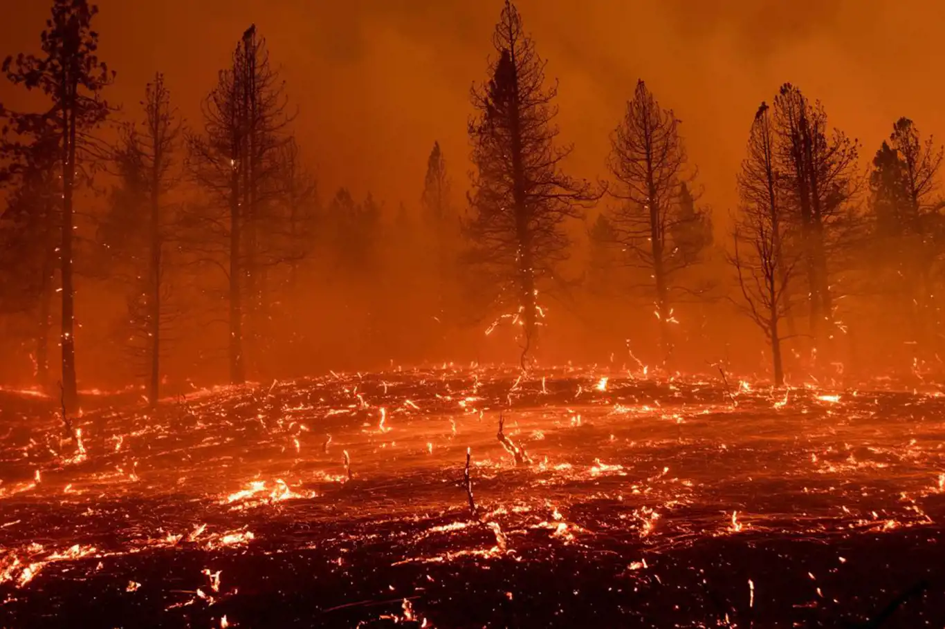 Yunanistan’da orman yangınları günlerdir devam ediyor