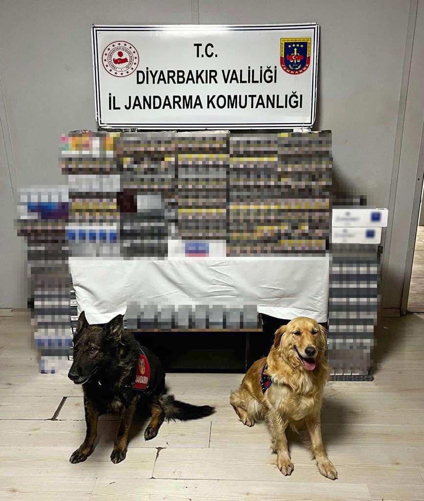Diyarbakır’da yolcu otobüsünde 8 bin 549 paket kaçak sigara ele geçirildi