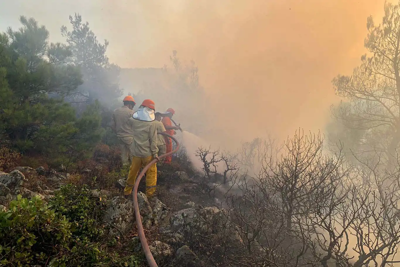 Çanakkale’deki orman yangınında 83 kişi etkilendi