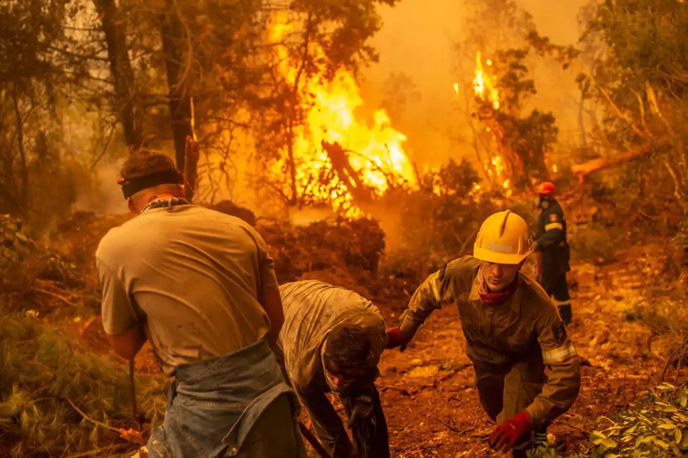 Yunanistan’da orman yangınları 9’uncu gününde