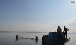 Yasa dışı balık avcılığı bilançosu açıklandı