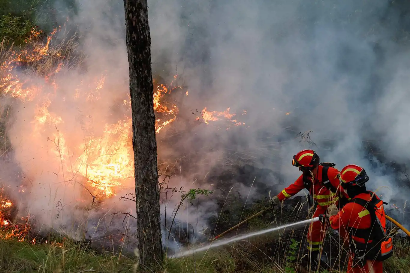 Orman yangınları ile mücadele devam ediyor