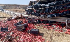 Diyarbakır’da domates kamyonu devrildi, tonlarca ürün  yere döküldü