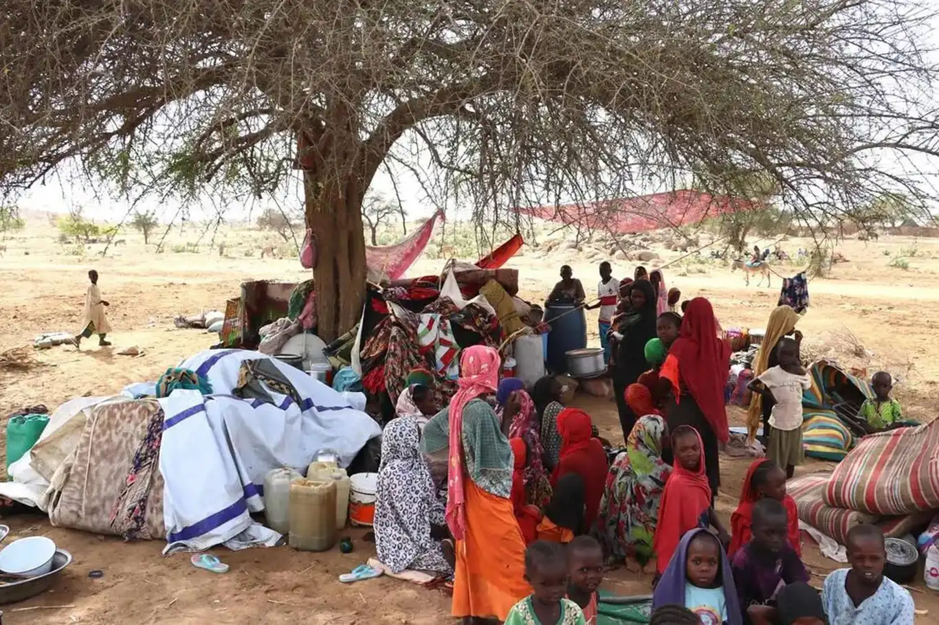 Birleşmiş Milletlerden Sudanlı mülteciler için yardım çağrısı