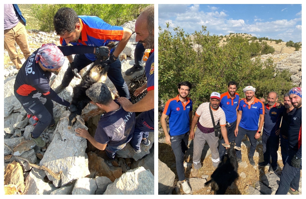Diyarbakır’da kayaların arasına sıkışan keçiyi AFAD ve itfaiye ekibi kurtardı