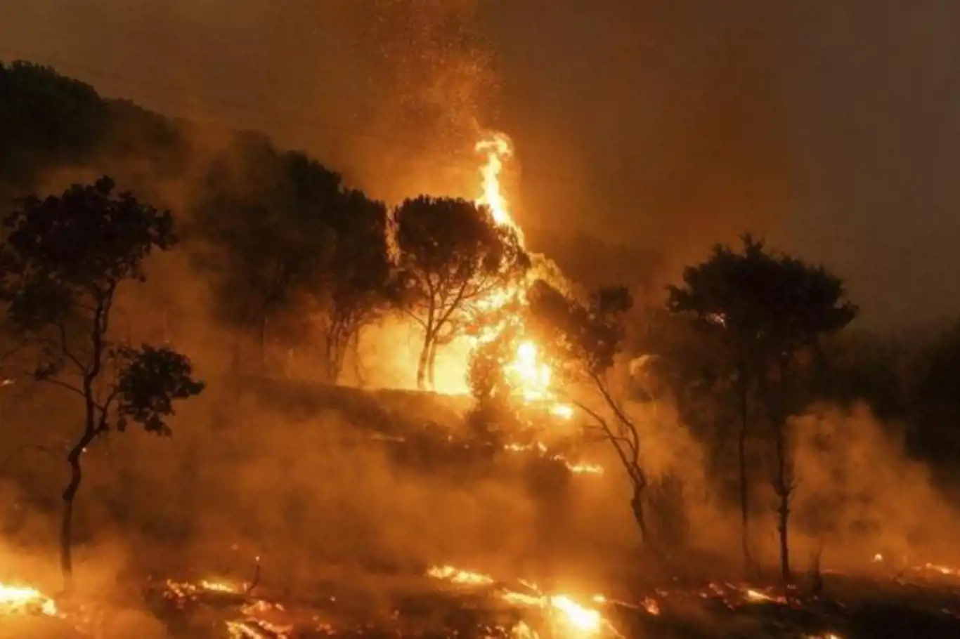 Yunanistan’daki orman yangınları devam ediyor