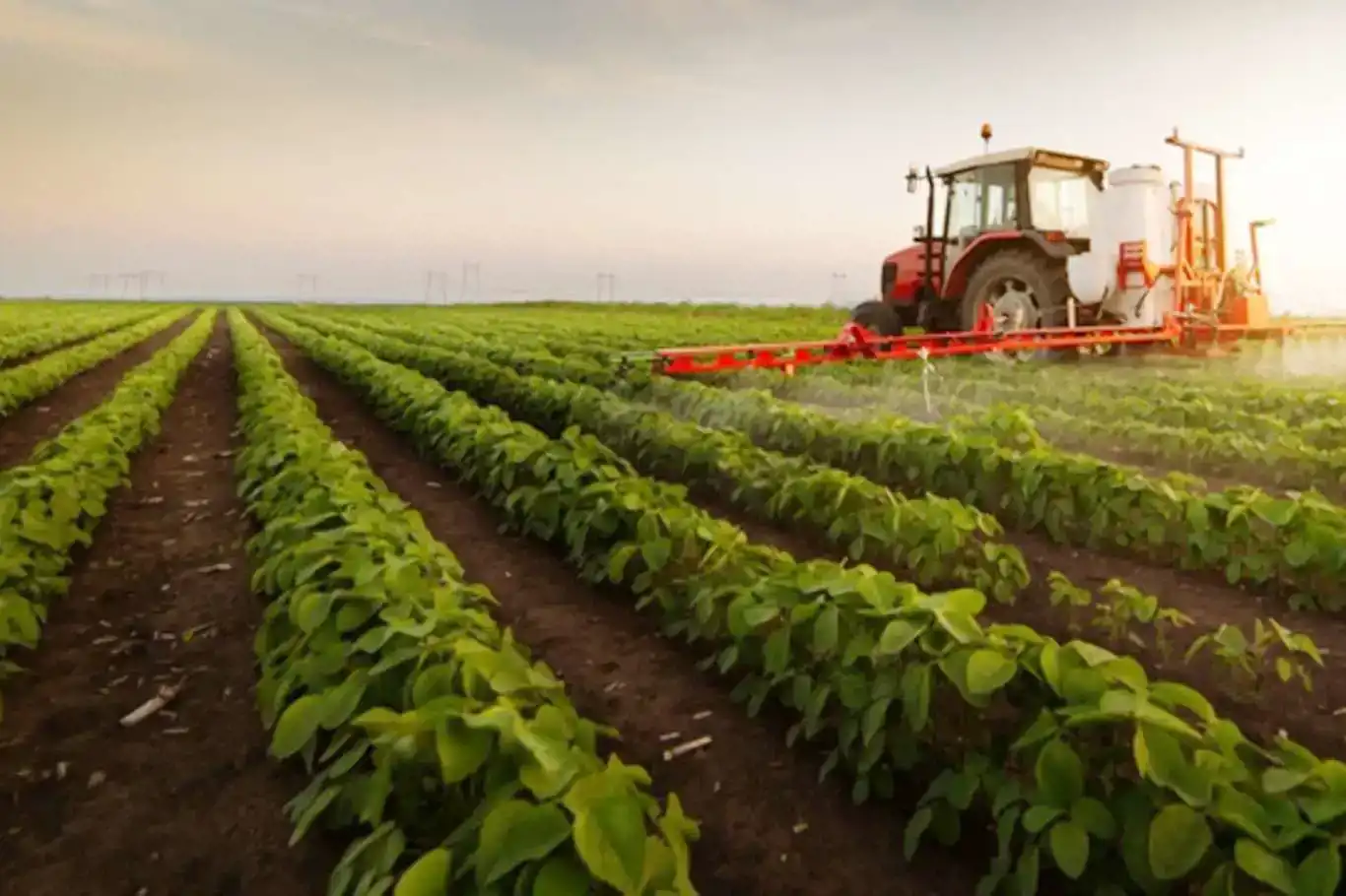 Tarım-ÜFE aylık yüzde 3,83 arttı