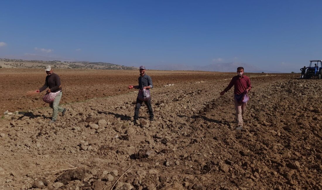 Diyarbakır’ın Kulp ilçesinde çiftçiler,