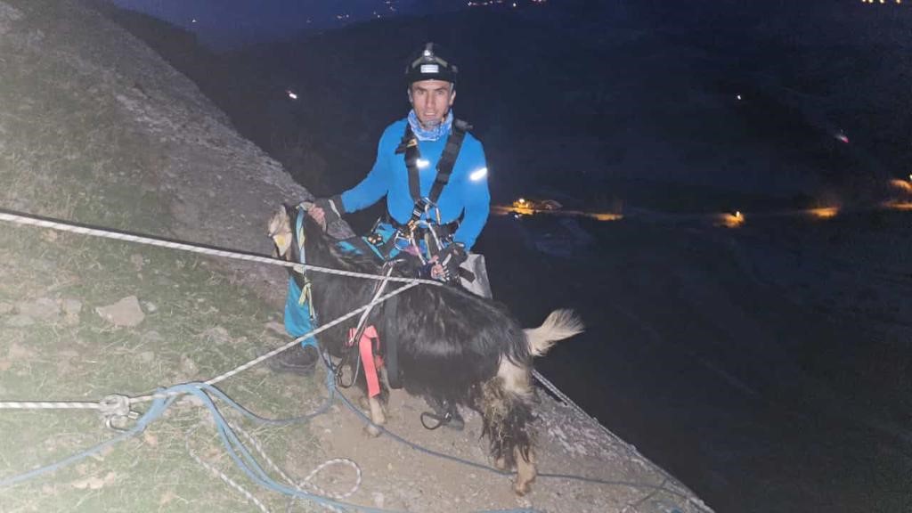 Diyarbakır’da 3 gündür kayalıklarda kurtarılmayı bekleyen keçi kurtarıldı