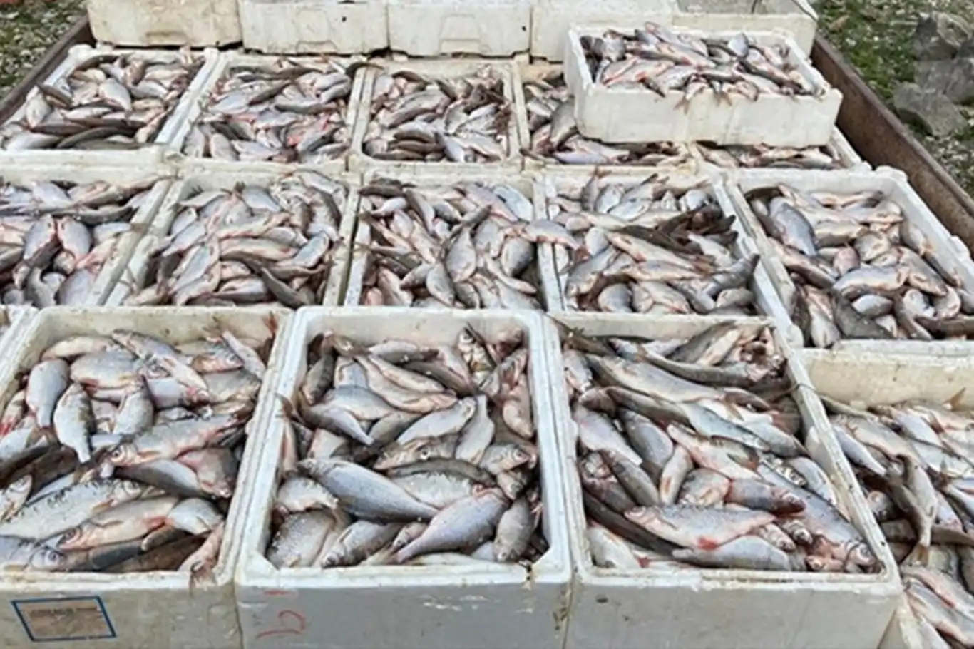 Kaçak balık avına yaklaşık 200 bin TL ceza