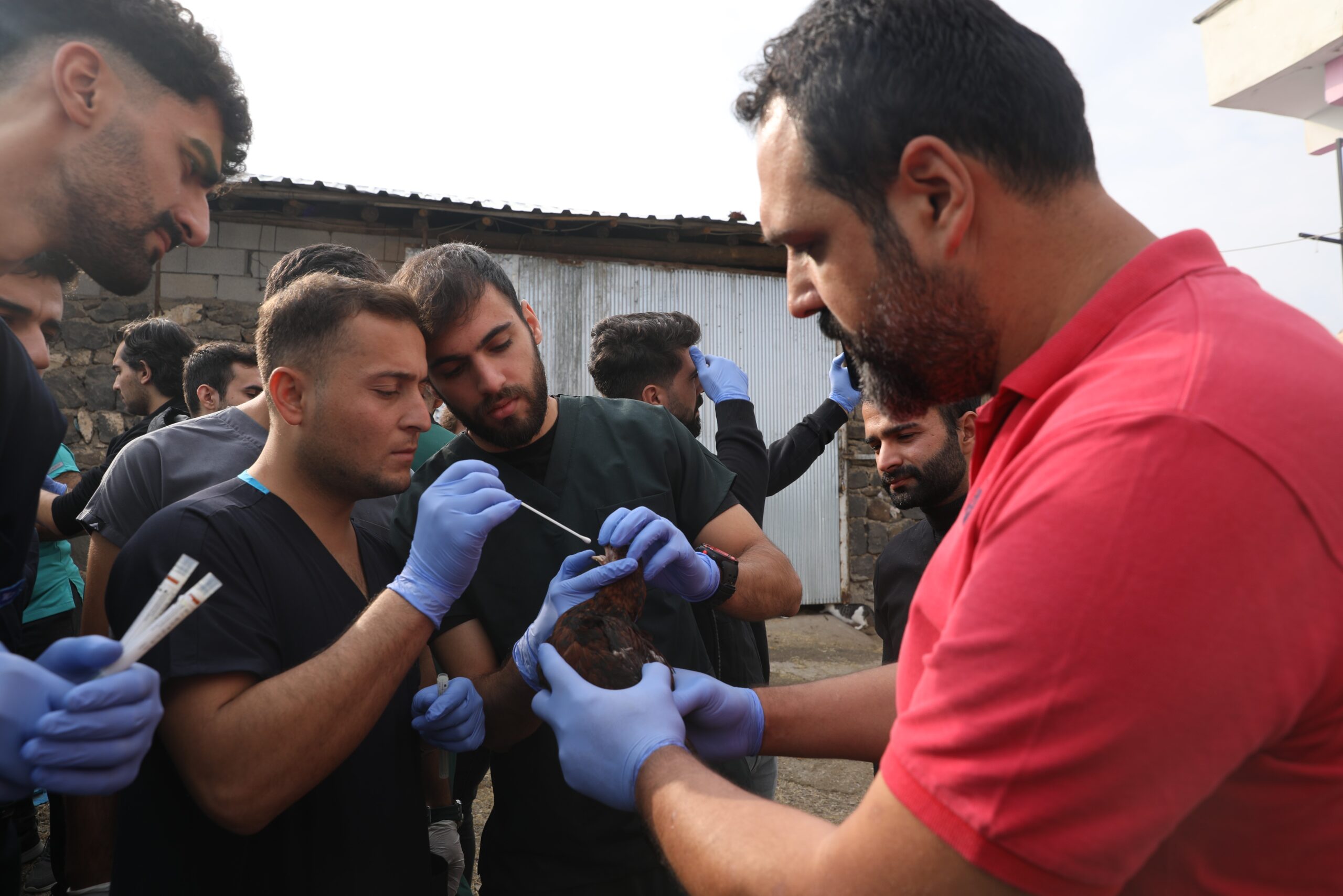 Diyarbakır’da genç veterinerler saha çalışmalarında