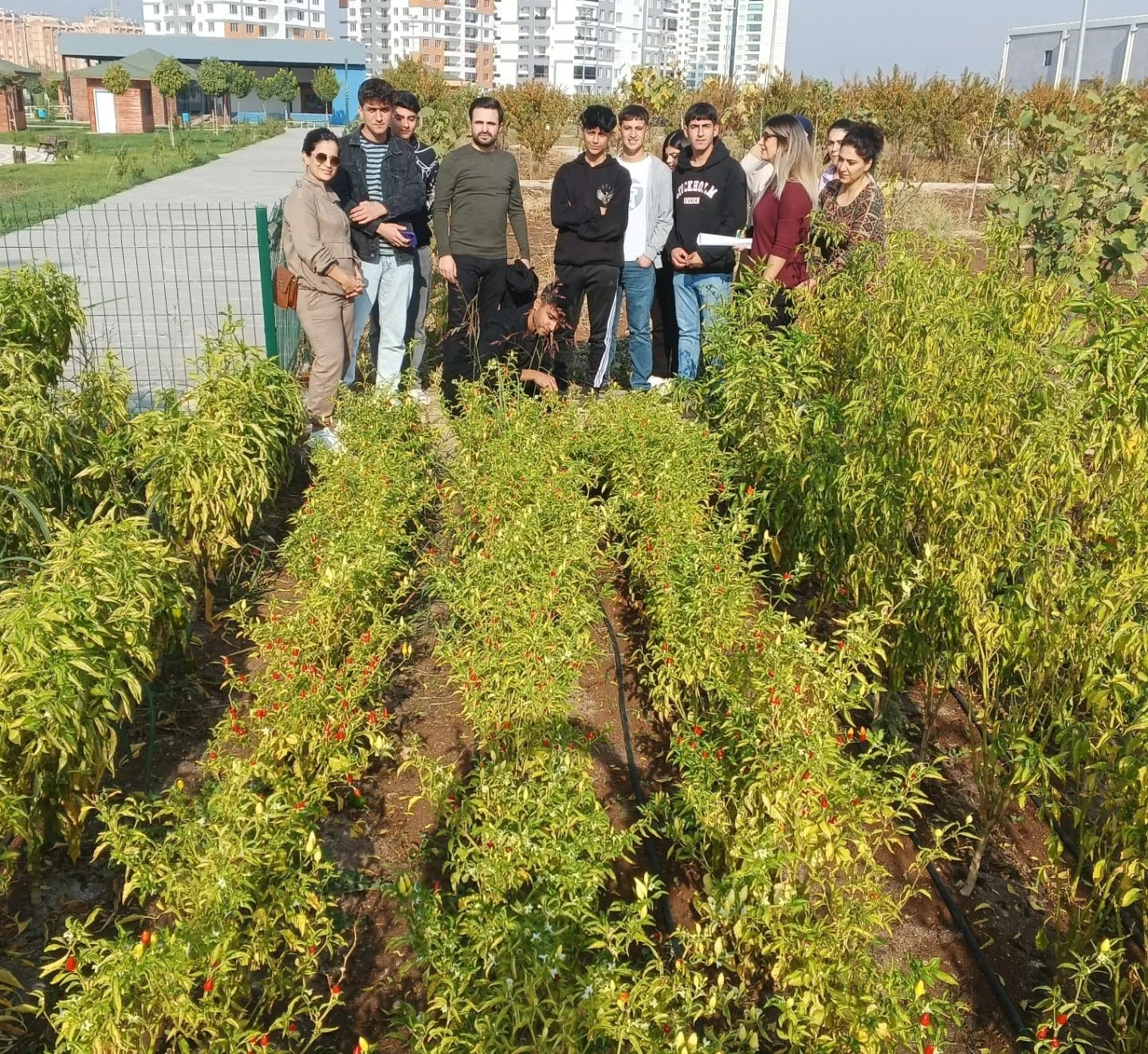 Diyarbakır’da öğrenciler sebze ve meyve ağaçları hakkında bilgi aldı