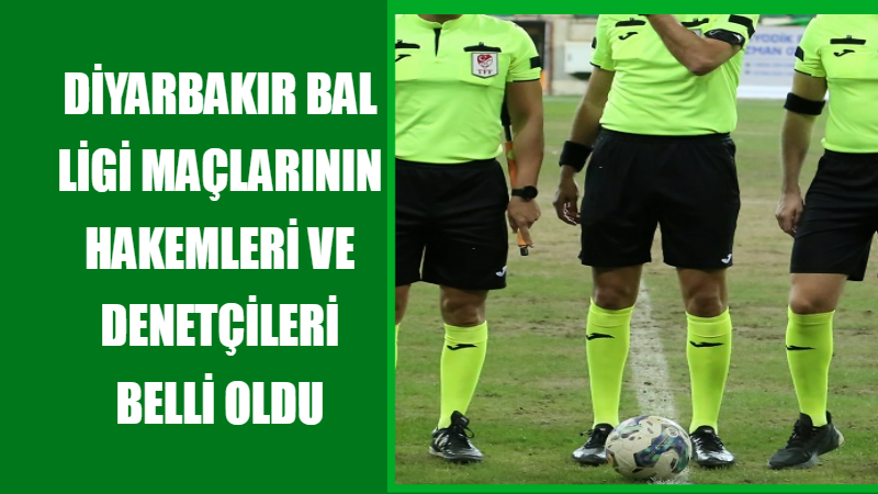 Diyarbakır BAL ligi maçlarının hakemleri ve denetçileri belli oldu