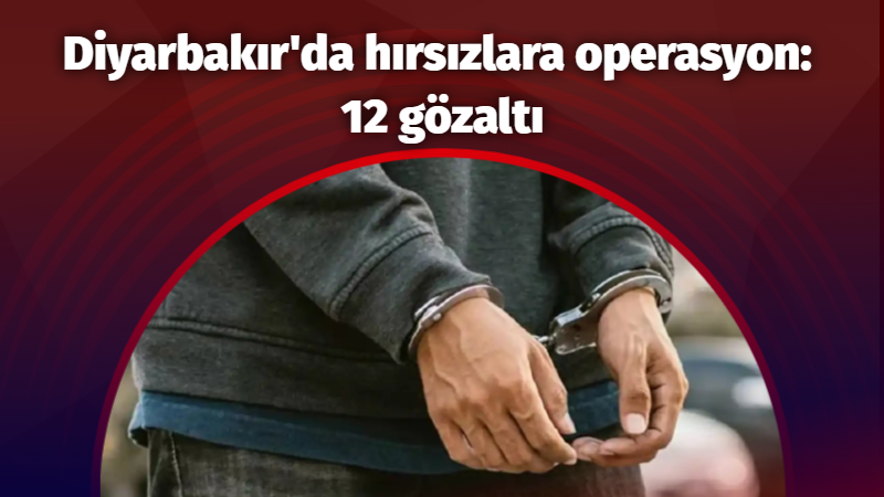 Diyarbakır’da hırsızlara operasyon: 12 gözaltı