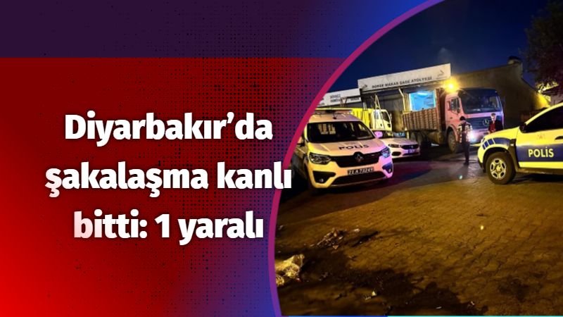 Diyarbakır’da şakalaşma kanlı bitti: 1 yaralı