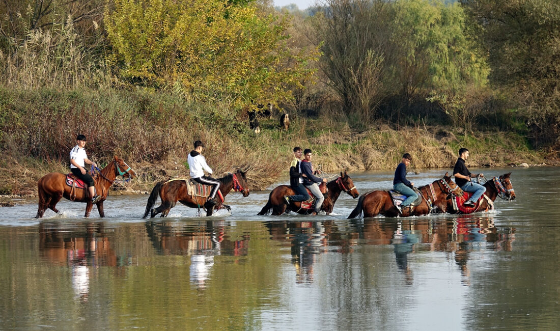 Diyarbakırlı gençler bakın ne yaptı! Atları nehre sürüp…