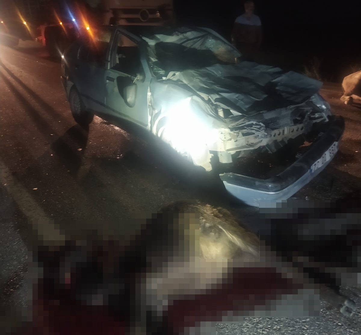 Diyarbakır’da otomobil manda sürüsüne daldı: 2 kişi yaralandı, 3 manda telef oldu