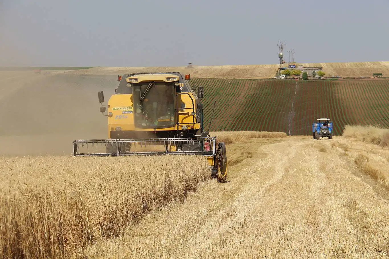 Diyarbakırlı çiftçilere sevindirici haber: Ödemeler bugün yatırılıyor