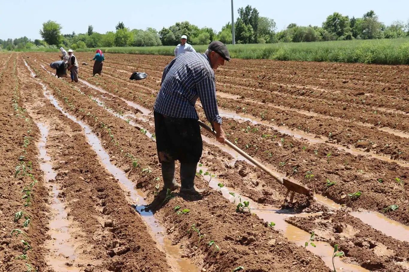 Diyarbakırlı çiftçilerin tarımsal destek ödemesi hesaplara yatırıldı