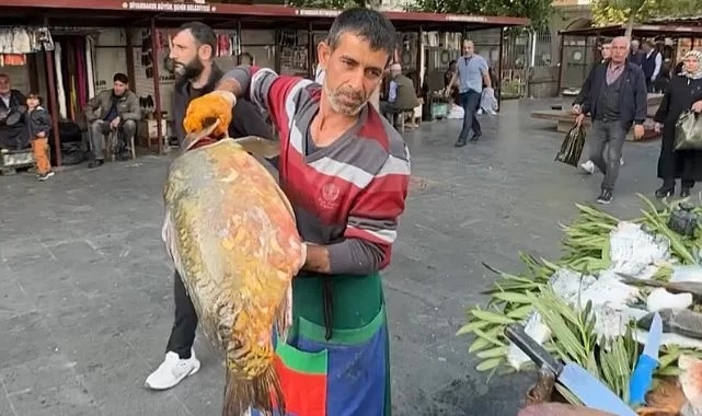 Diyarbakır'da sokakta balık satan