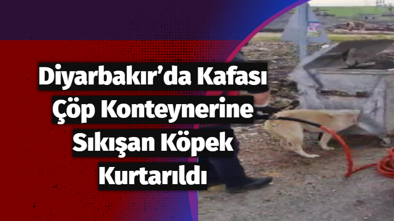 Diyarbakır’da Kafası Çöp Konteynerine Sıkışan Köpek Kurtarıldı
