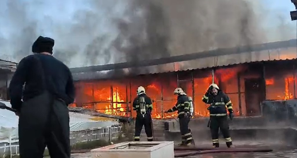 Diyarbakır’da işyerinin çatısında yangın: 300 güvercin telef oldu