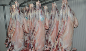 Et ve Süt Kurumu 2500 Markette Ucuza Kuşbaşı Et Ve Kıyma Satışı Yapacak