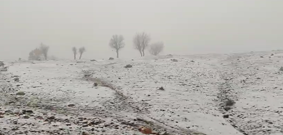 Diyarbakır'da Kar Yağışı Başladı!