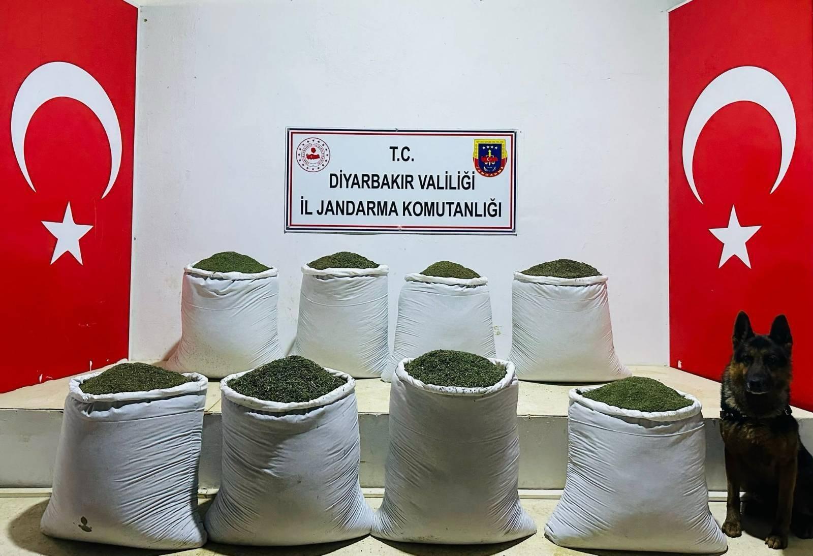 Diyarbakır’da 169 kilogram esrar ele geçirildi!