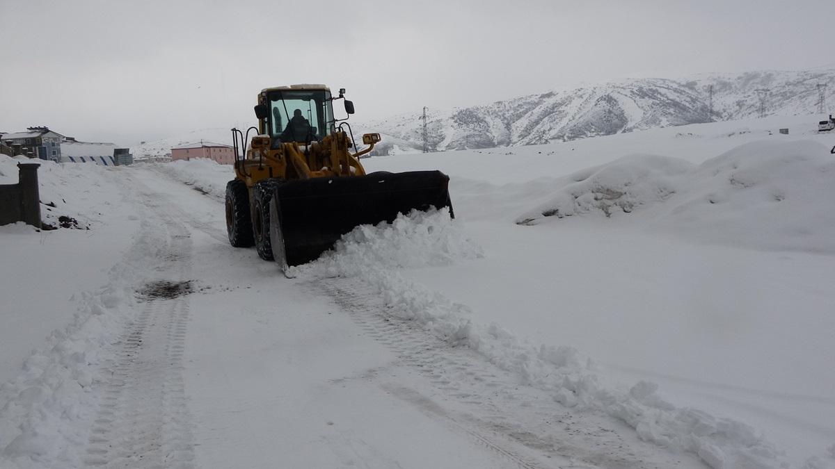 Bitlis’te kar yağışı: 4 köy yolu ulaşıma kapandı