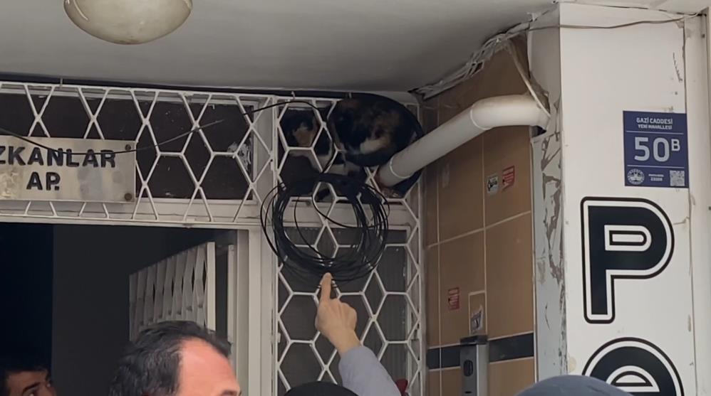 Diyarbakır Komşu İlinde Kedi Kurtarma Operasyonunda İlginç Anlar!