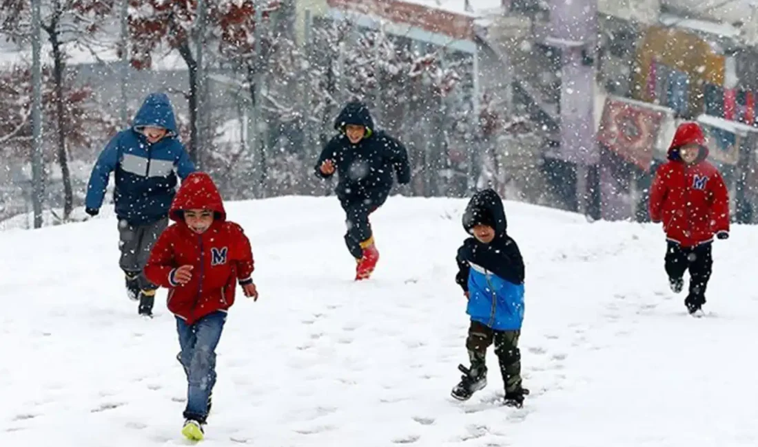 Bitlis'te olumsuz hava koşulları