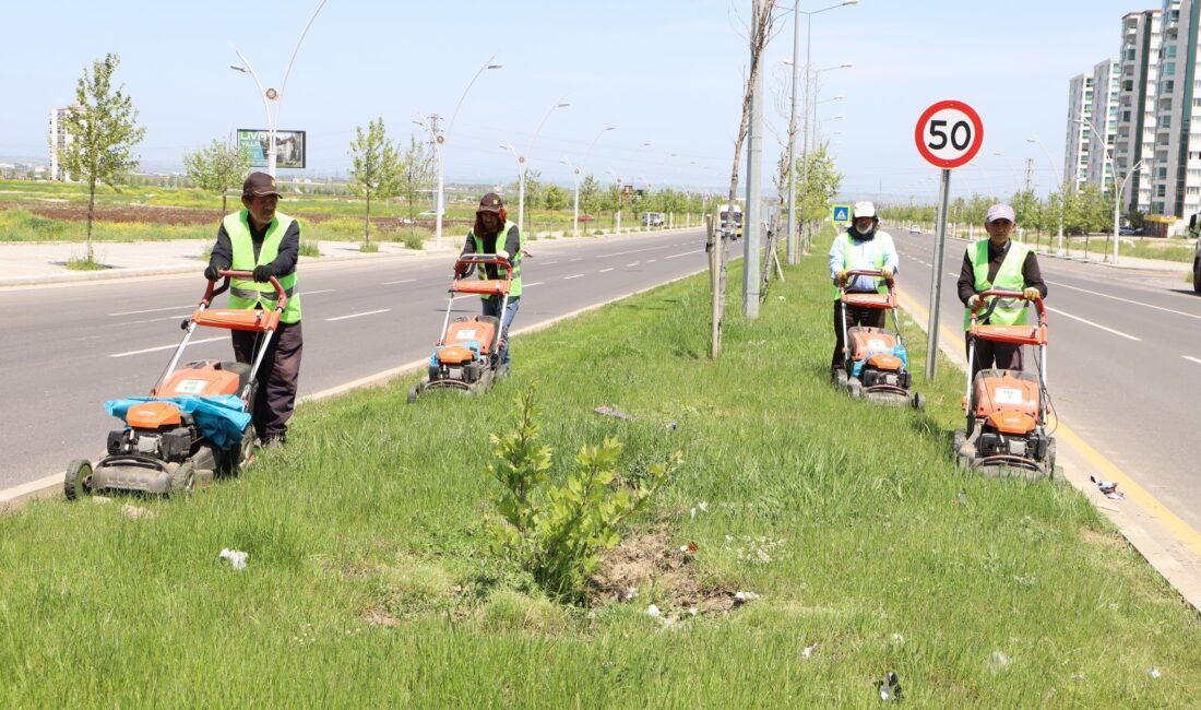 Diyarbakır’da günlük 150 bin metrekarelik yeşil alanda çalışma yürütülüyor