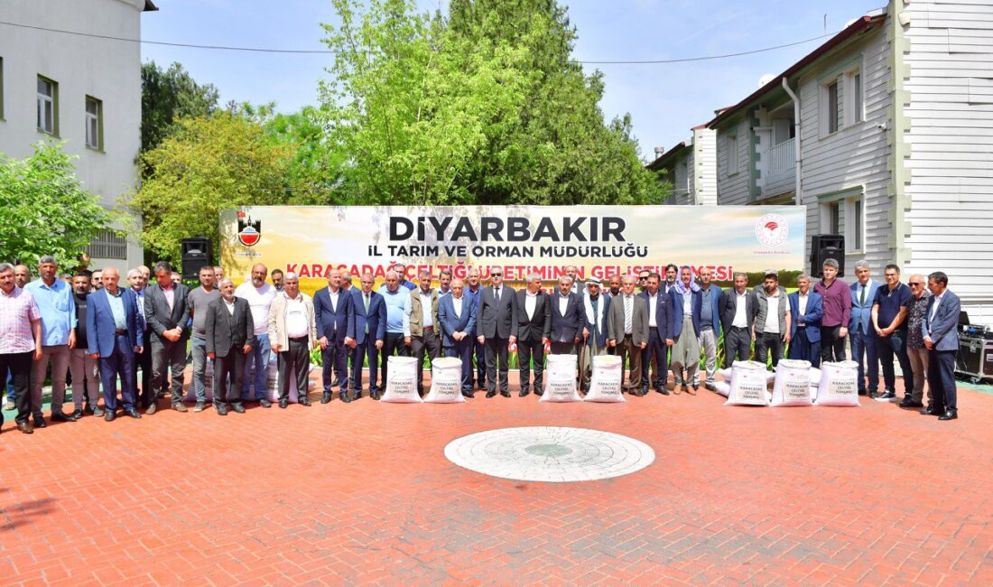 Diyarbakır’daki 93 çiftçiye tescilli çeltik tohumu