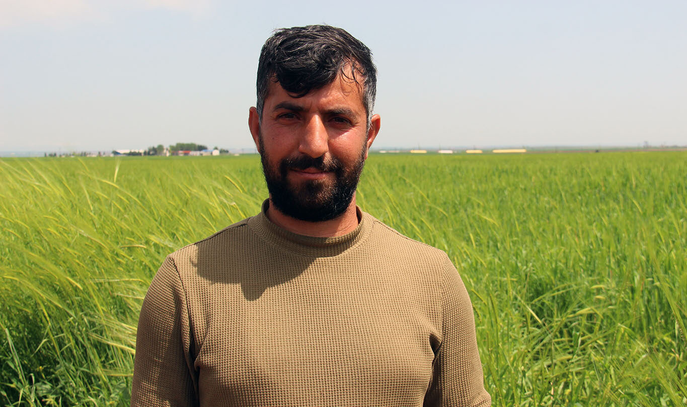 Diyarbakır'da çiftçinin hasattan beklentisi yüksek