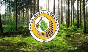 Orman Genel Müdürlüğü (OGM)