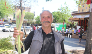 "Yayla Muzu" Diyarbakır'daki tezgahlarda yerini aldı