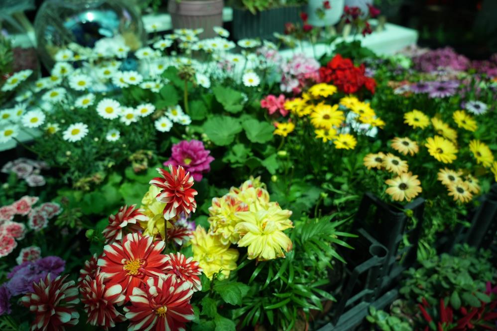 Diyarbakır’da çiçekçilerin Anneler Günü mesaisi başladı