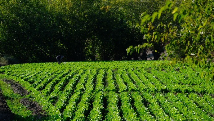 Çiftçinin sorununa ‘agroekolojik üretim’ önerisi!