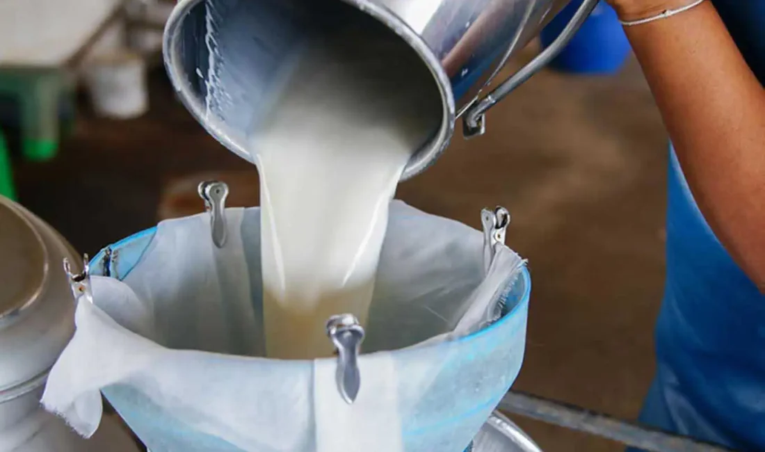 Çiğ süt üretimi 2023