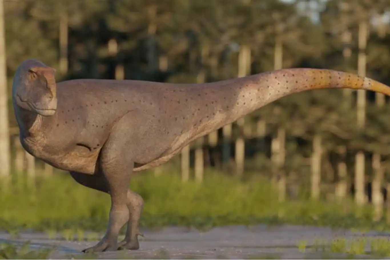 Arjantin’de yeni etçil dinozor türü keşfedildi