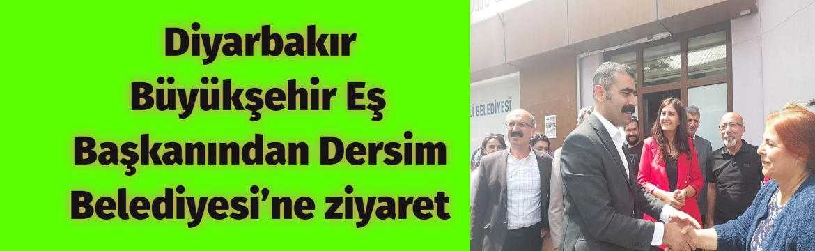Diyarbakır Büyükşehir Belediye Eş Başkanı