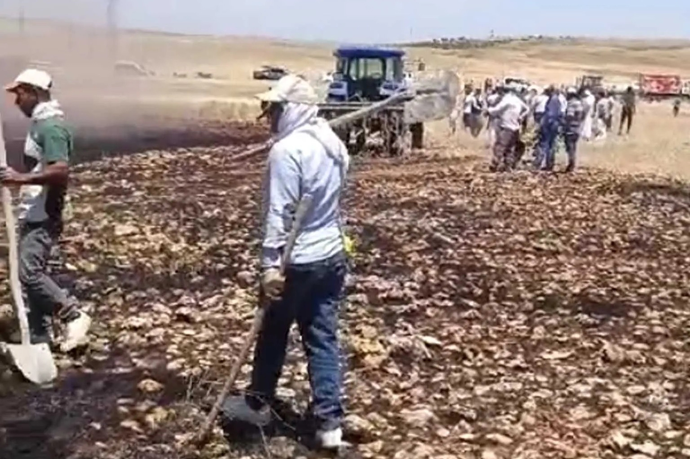 Diyarbakır'da buğday tarlasında yangın çıktı