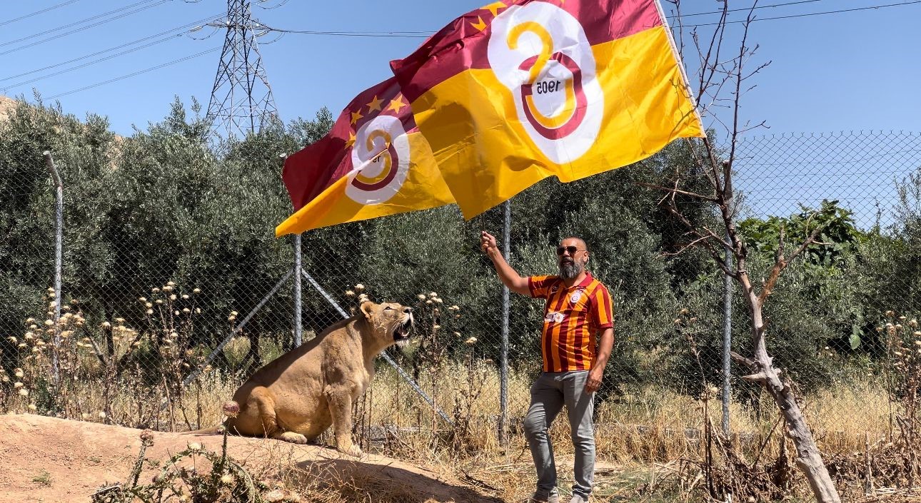 Diyarbakırlı taraftar, Galatasaray’ın şampiyonluğunu aslanlarıyla kutladı!