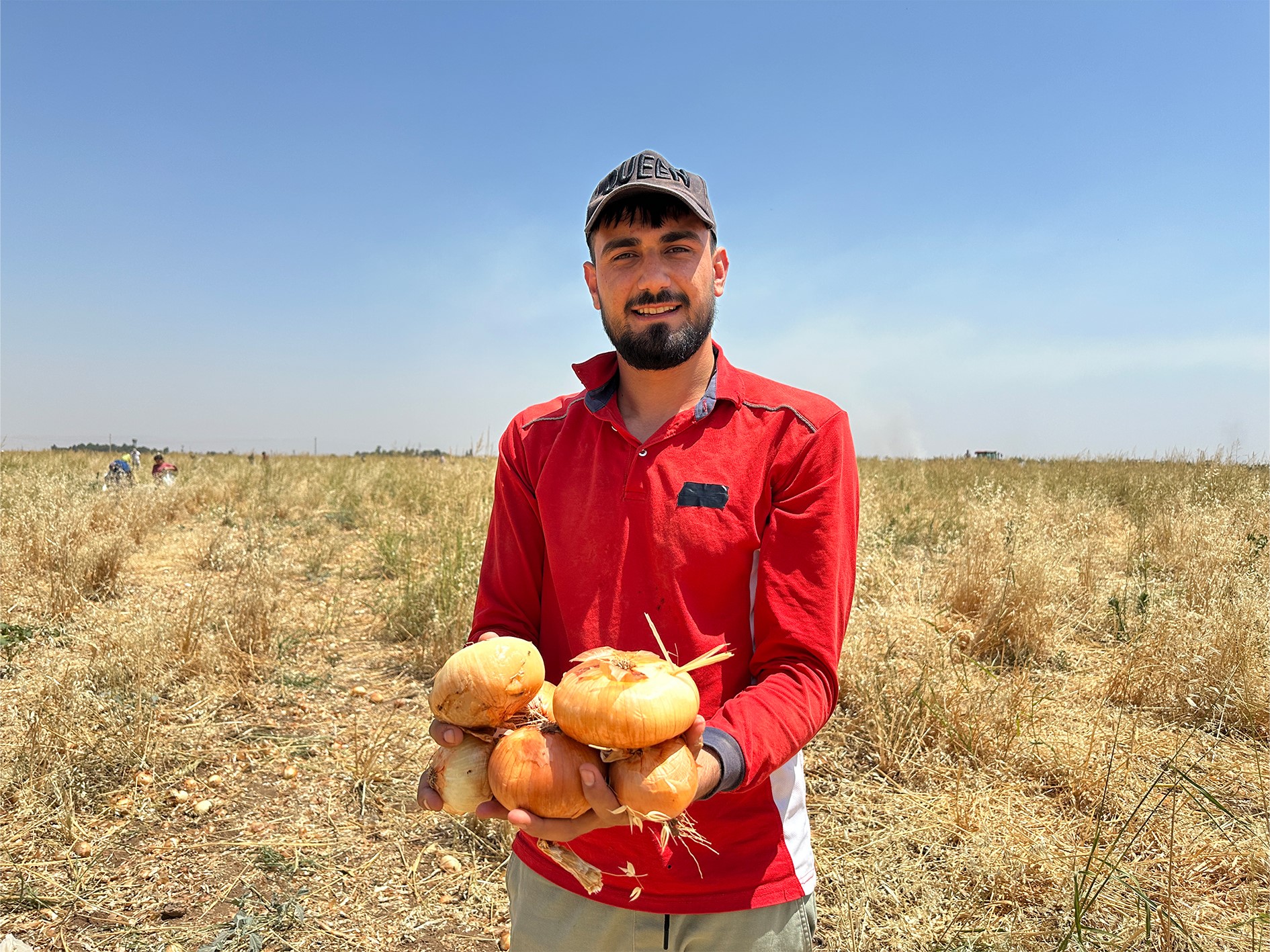 Diyarbakır'ın komşu ilinde satamadığı soğanı hayrına dağıttı, yüzlerce kişi tarlaya akın etti