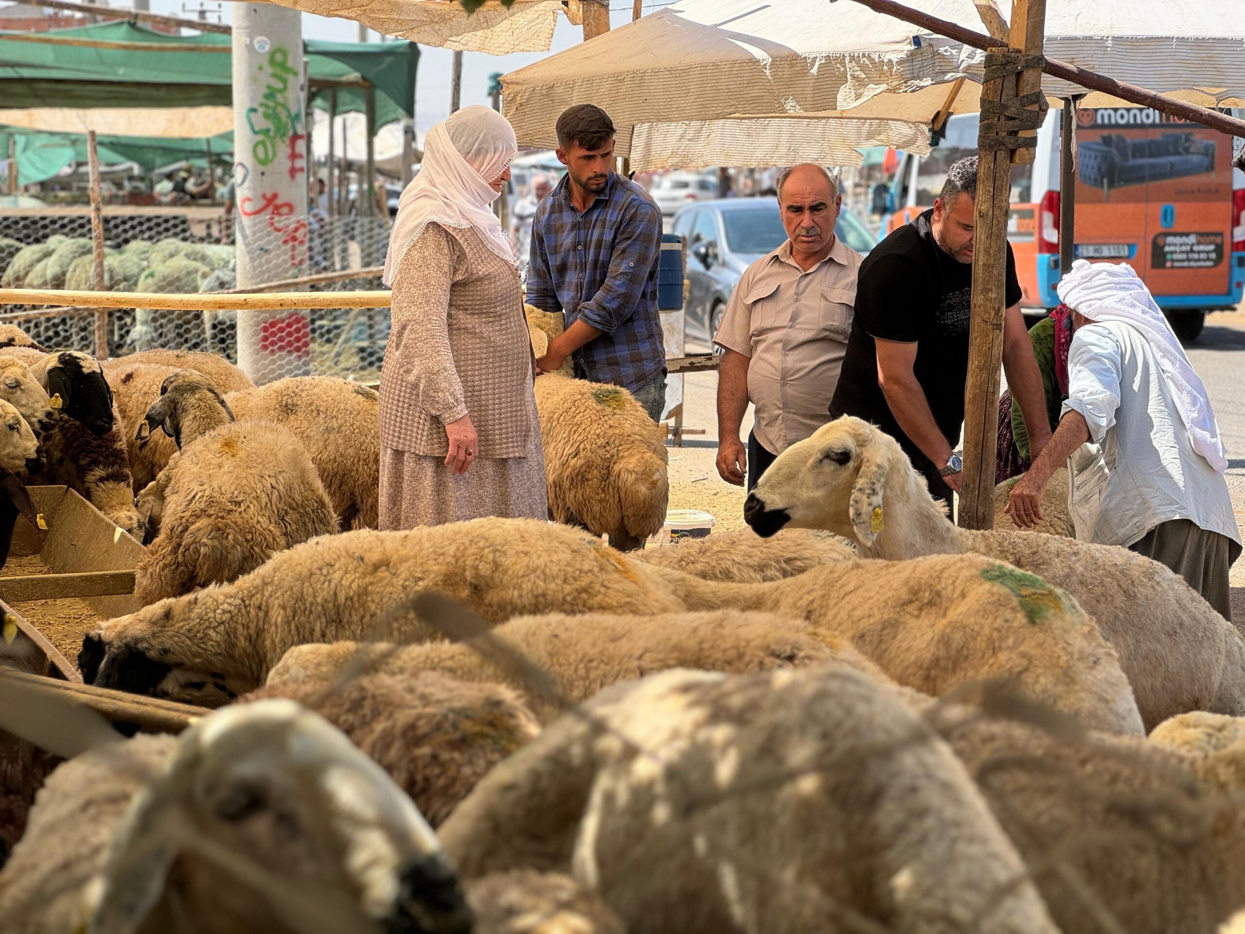 Diyarbakır’da hayvan pazarlarında bayramın son günü yoğunluk arttı