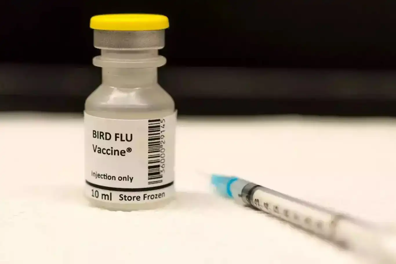 Finlandiya’da insanlara kuş gribi aşısı yapılacak