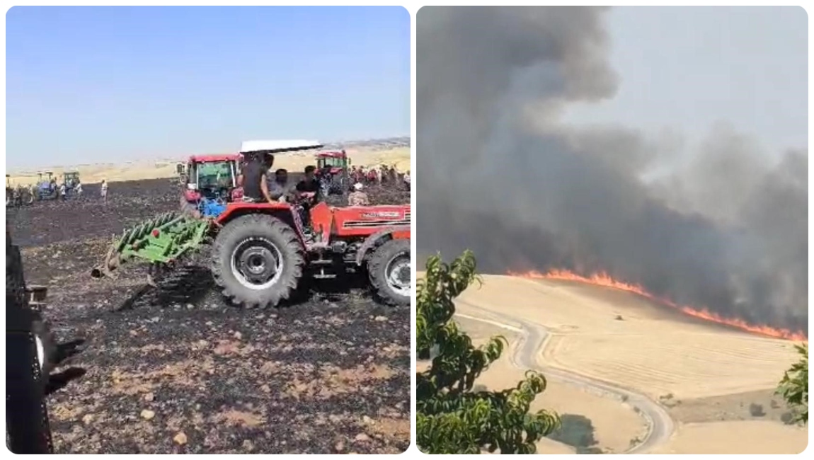 Diyarbakır’da bir arazi yangını daha: 800 dönümlük ekinler kül oldu